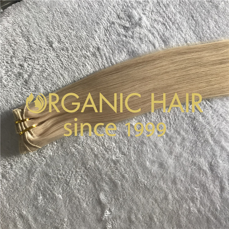 Clip-in Organic Hair extensions H142